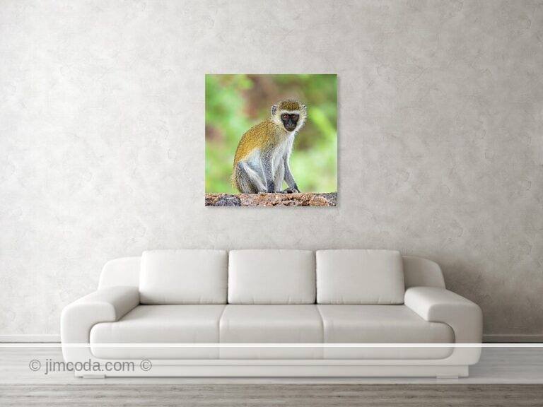 Fine art photo print example in living room