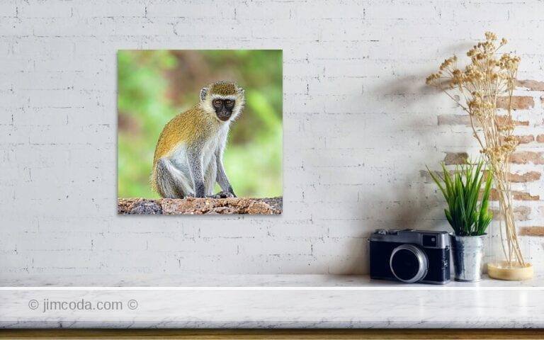 Fine art photo print example in living room