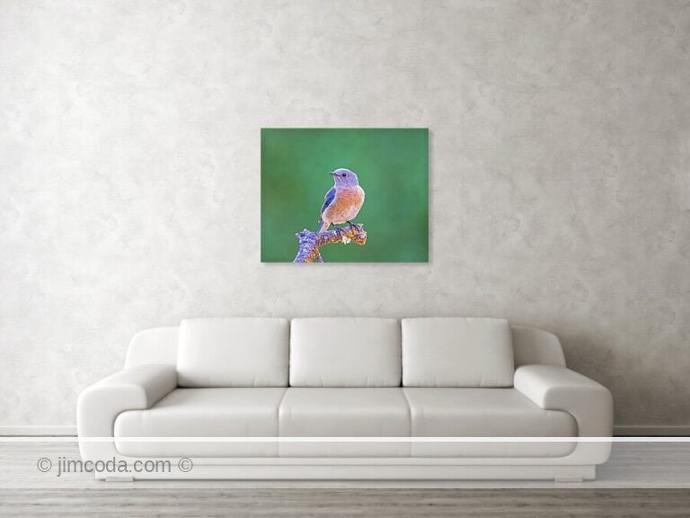 Fine art photo print example in living room