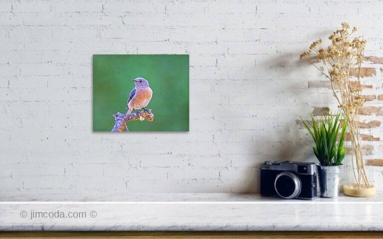 Fine art photo print example in living room