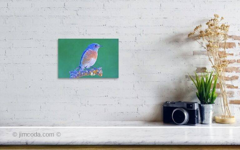 Fine art photo print example in living room