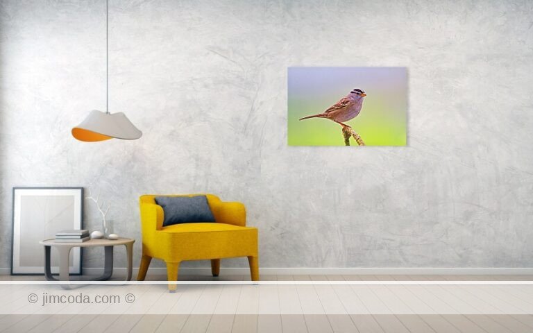 Fine art photo print example in living room