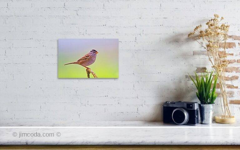 Fine art photo print example in living room