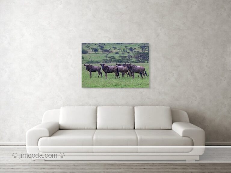 Fine art photo print example in living room