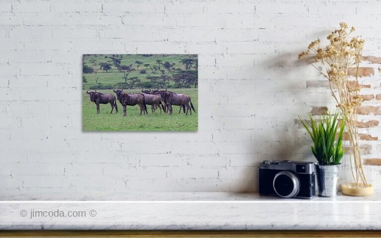 Fine art photo print example in living room