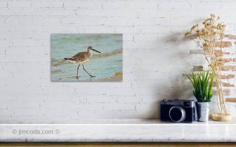 Fine art photo print example in living room