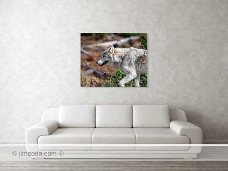 Fine art photo print example in living room