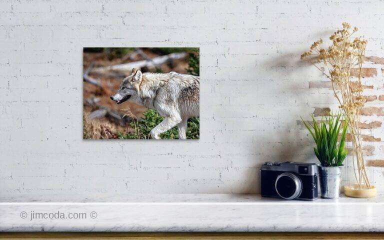 Fine art photo print example in living room