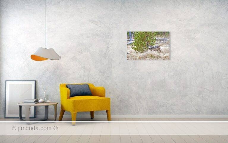 Fine art photo print example in living room