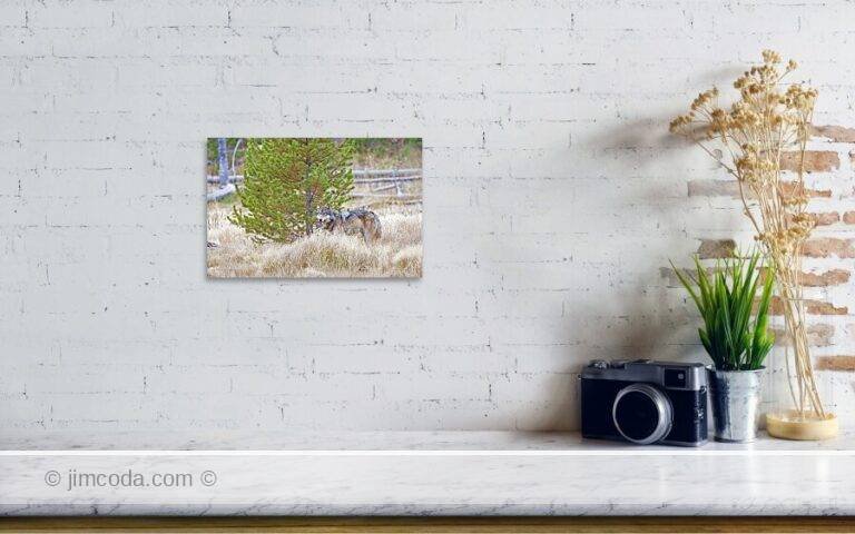 Fine art photo print example in living room