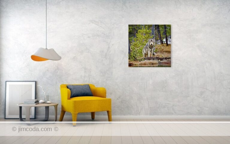 Fine art photo print example in living room