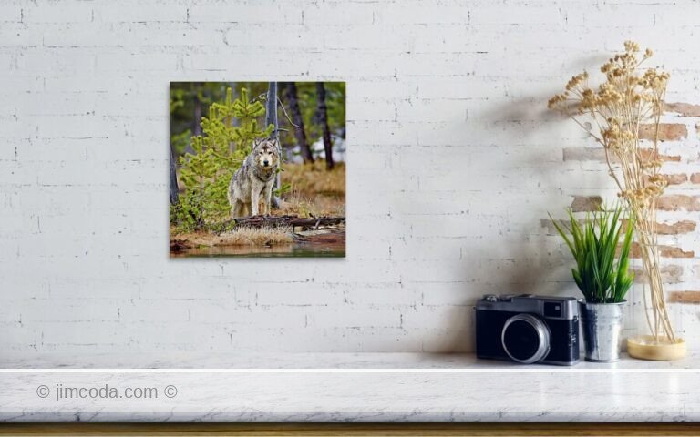 Fine art photo print example in living room