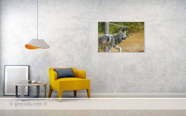 Fine art photo print example in living room