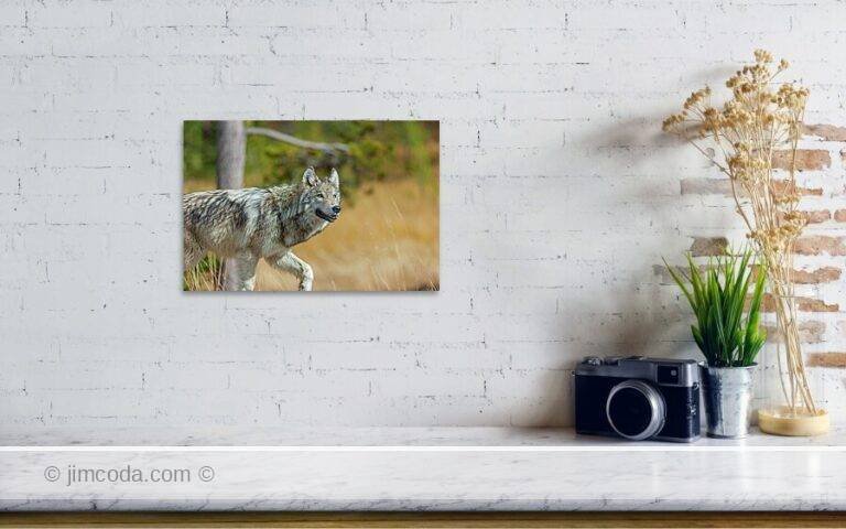 Fine art photo print example in living room