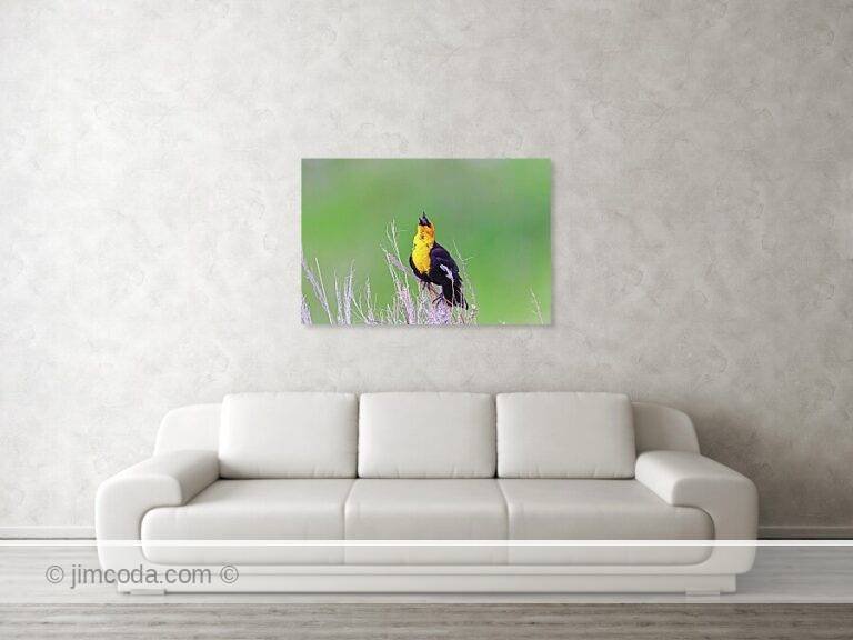 Fine art photo print example in living room