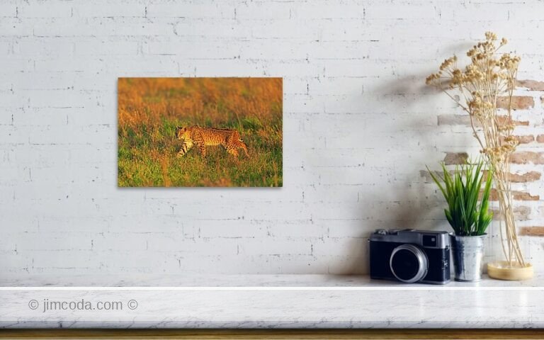 Fine art photo print example in living room