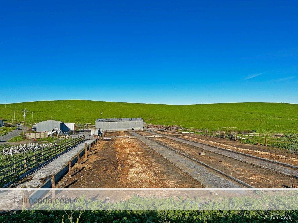 This is a view of where the free stall barns were that housed the A Ranch milkers.