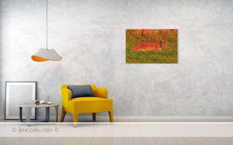 Fine art photo print example in living room