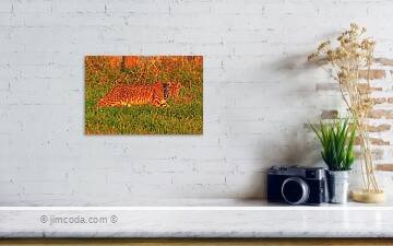 Fine art photo print example in living room