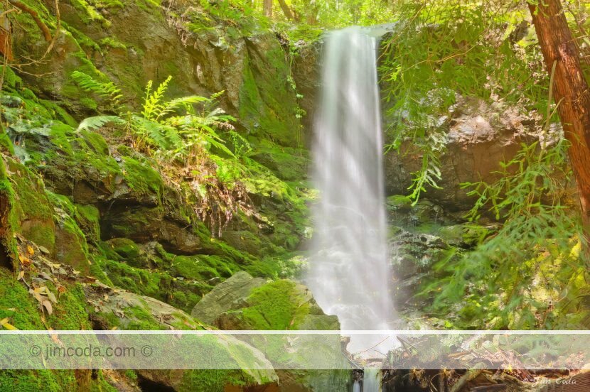 Dawn Falls, Larkspur, California. This pretty waterfall is just a short hike from the trailhead in Kent Woodlands.