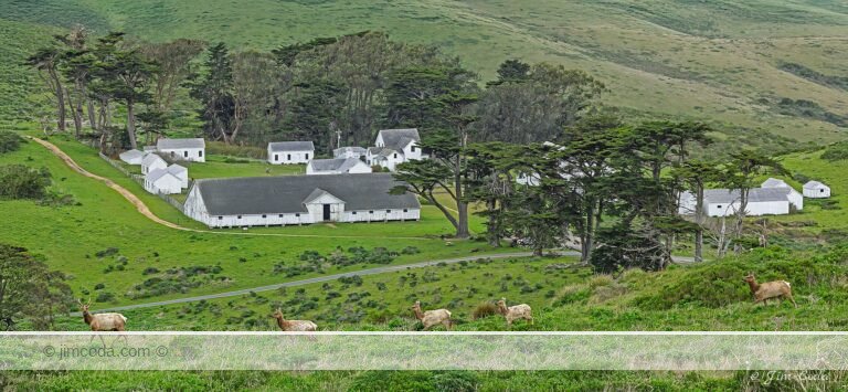 Photo of Pierce Point Ranch in Point Reyes National Seashore, California, USA.