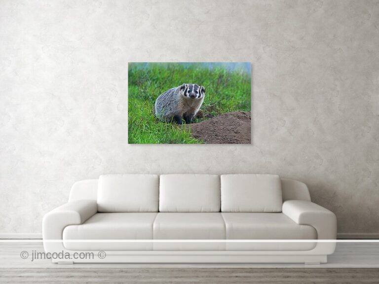 Fine art photo print example in living room