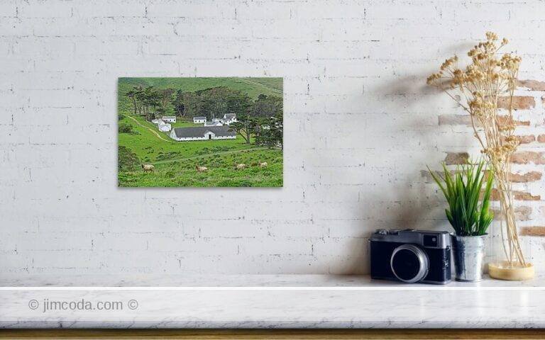 Fine art photo print example in living room