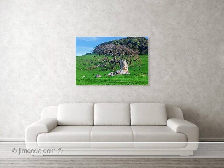 Fine art photo print example in living room