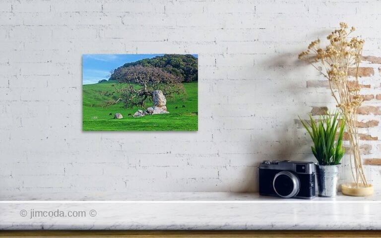 Fine art photo print example in living room