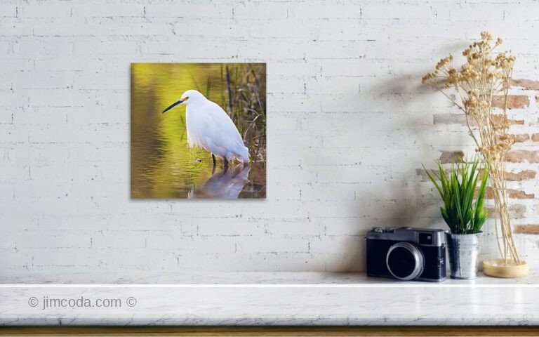 Fine art photo print example in living room
