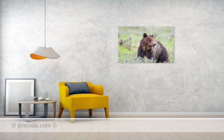Fine art photo print example in living room