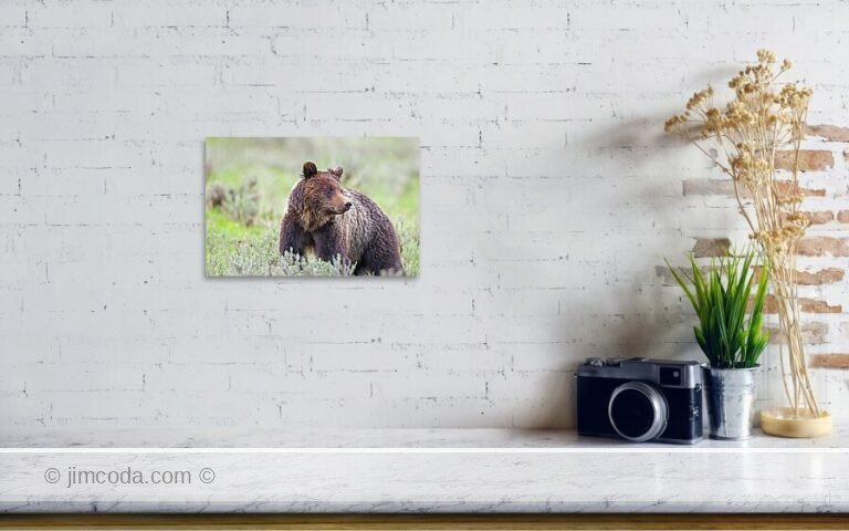 Fine art photo print example in living room