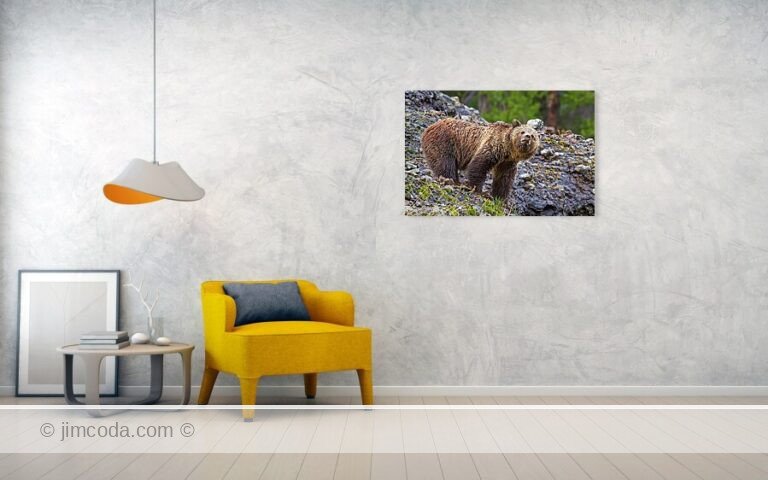 Fine art photo print example in living room