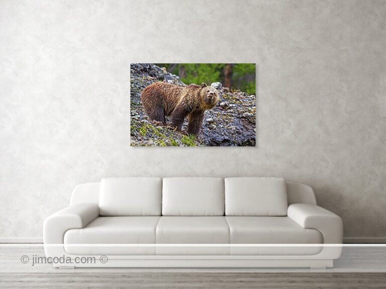 Fine art photo print example in living room
