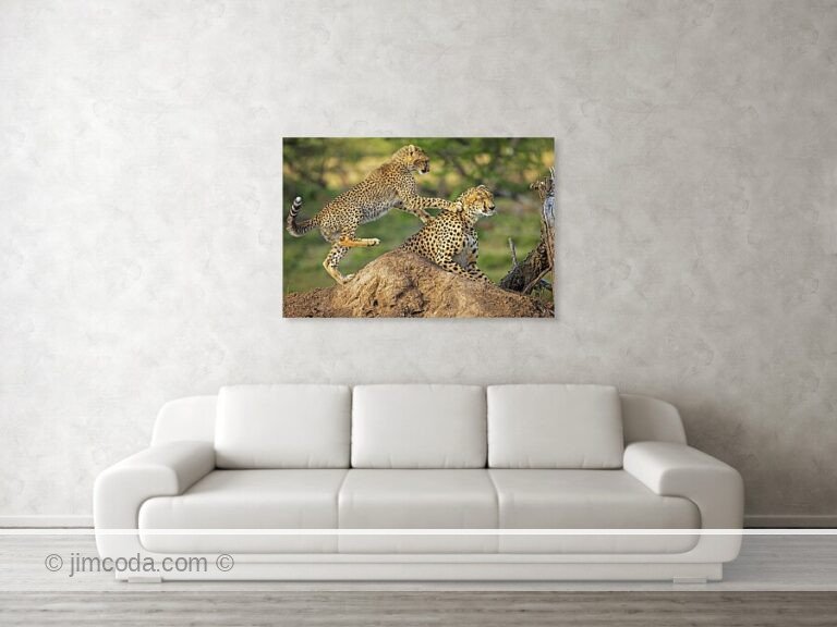 Fine art photo print example in living room