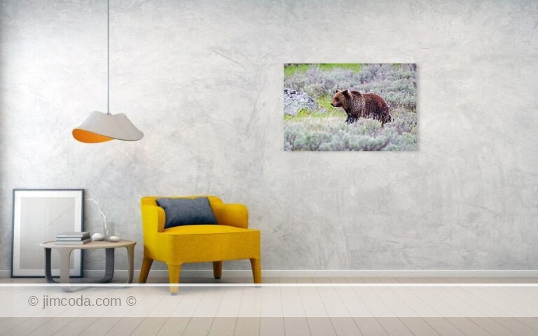 Fine art photo print example in living room