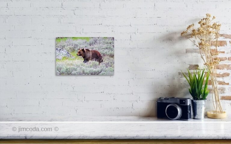 Fine art photo print example in living room