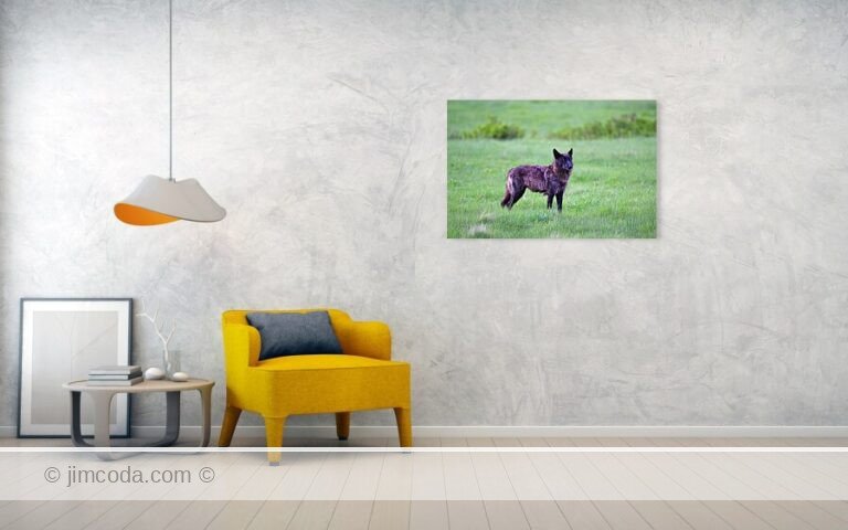 Fine art photo print example in living room