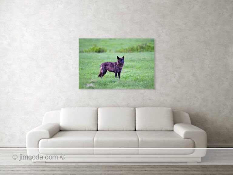 Fine art photo print example in living room