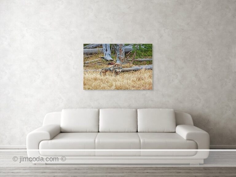 Fine art photo print example in living room