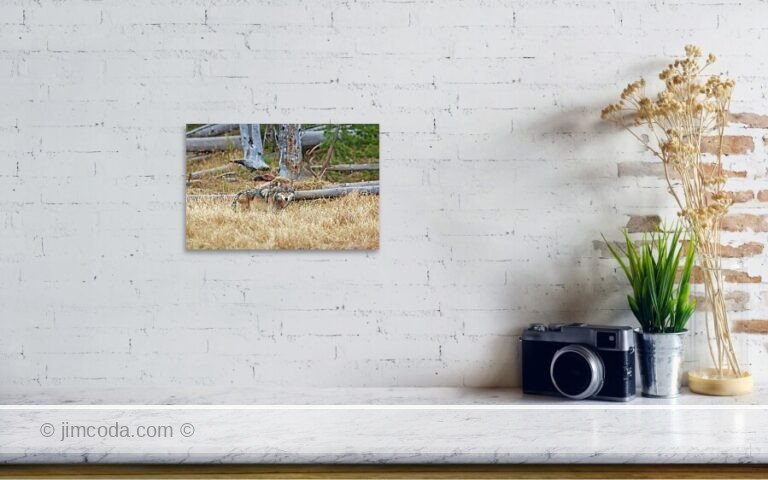 Fine art photo print example in living room