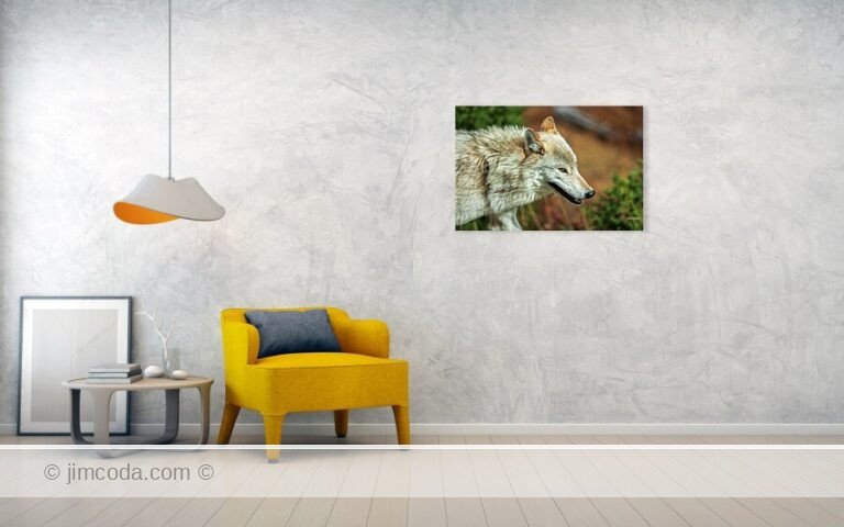 Fine art photo print example in living room