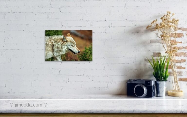 Fine art photo print example in living room