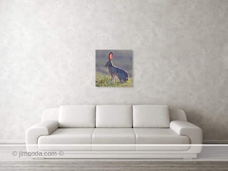 Fine art photo print example in living room
