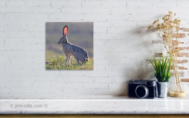 Fine art photo print example in living room