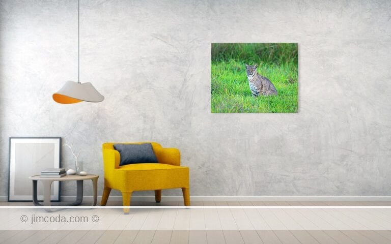 Fine art photo print example in living room