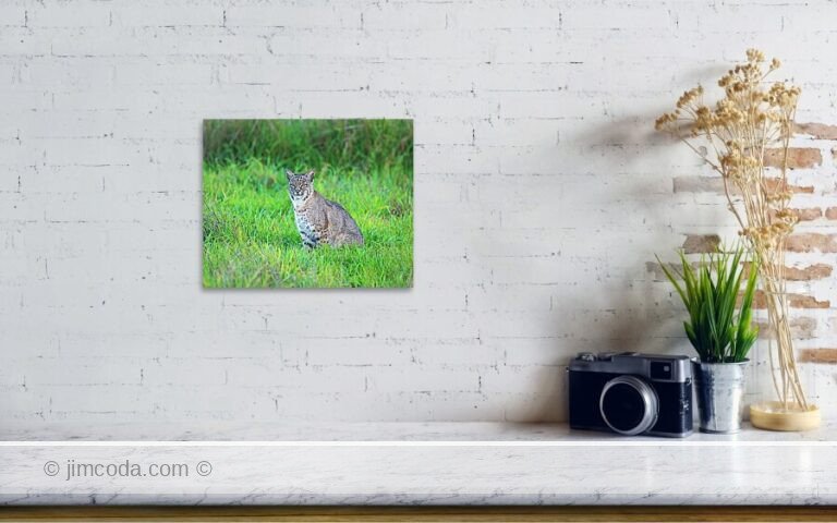 Fine art photo print example in living room