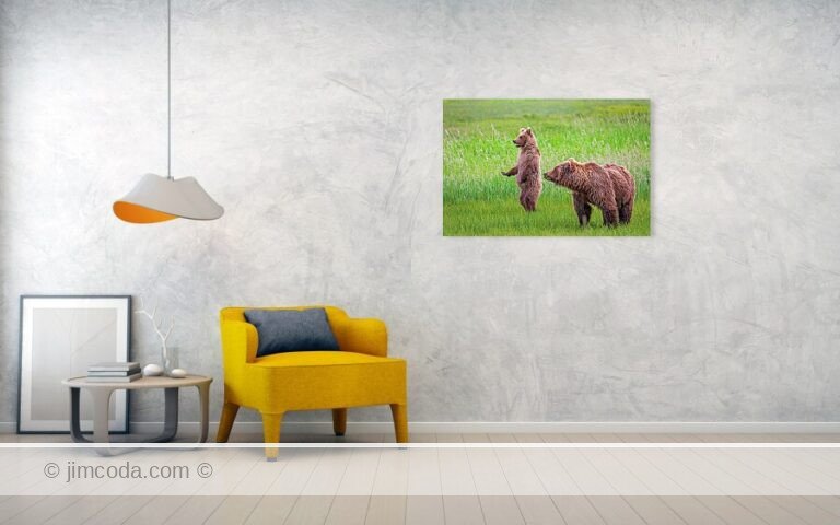 Fine art photo print example in living room