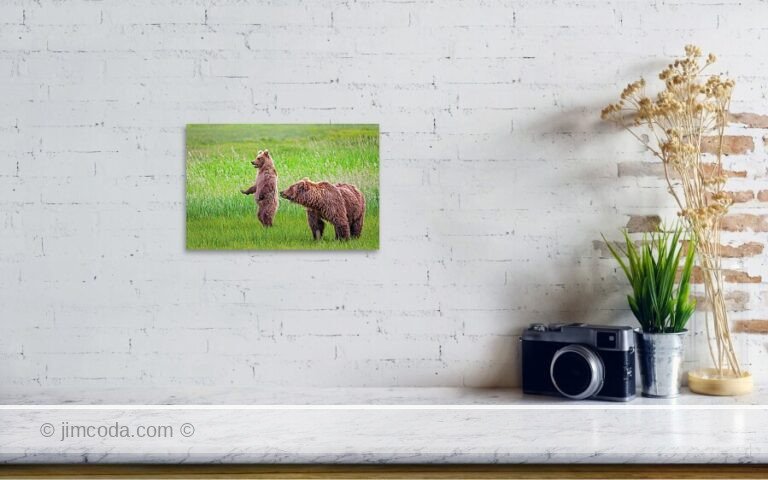 Fine art photo print example in living room
