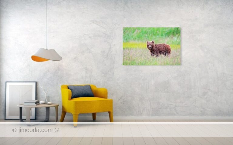 Fine art photo print example in living room